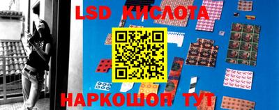стафф Будённовск