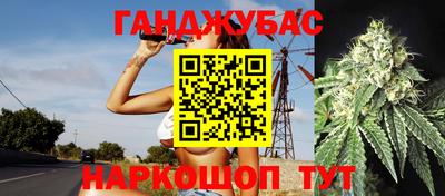 стафф Будённовск
