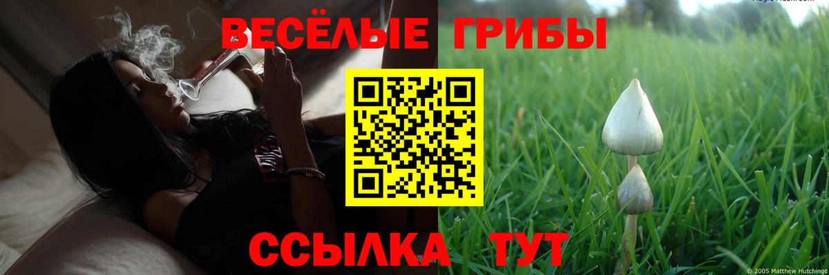 Галлюциногенные грибы прущие грибы Кирово-Чепецк